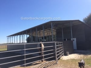 horse barn with stalls